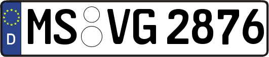 MS-VG2876