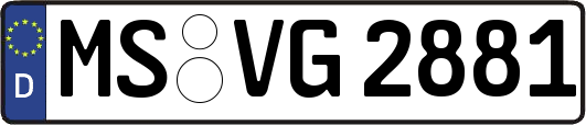 MS-VG2881