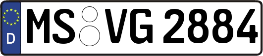 MS-VG2884