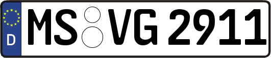 MS-VG2911