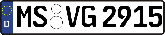 MS-VG2915