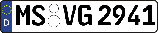 MS-VG2941