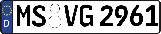 MS-VG2961
