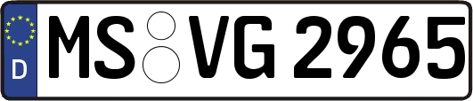MS-VG2965