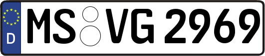 MS-VG2969