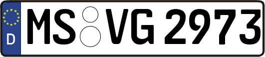 MS-VG2973