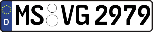 MS-VG2979
