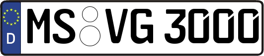 MS-VG3000