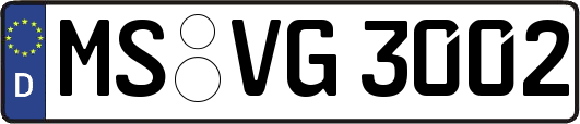 MS-VG3002