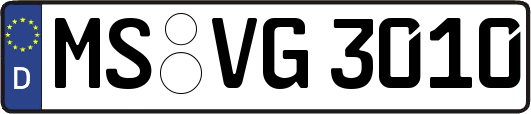 MS-VG3010