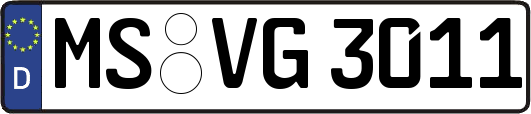 MS-VG3011