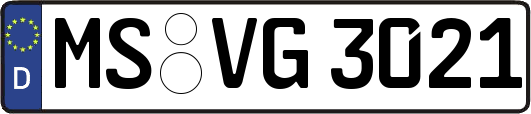 MS-VG3021