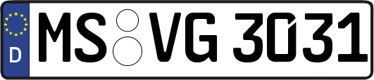MS-VG3031