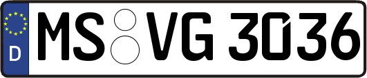 MS-VG3036