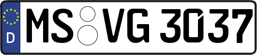 MS-VG3037