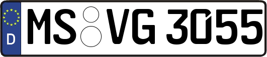 MS-VG3055