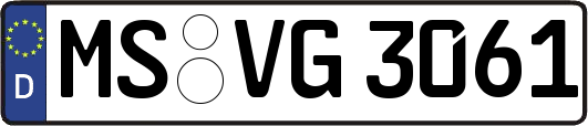 MS-VG3061
