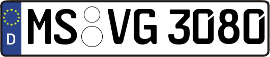 MS-VG3080