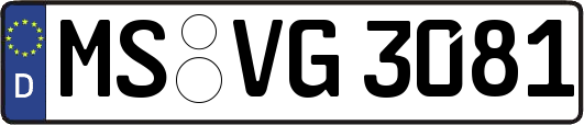 MS-VG3081