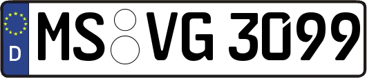 MS-VG3099