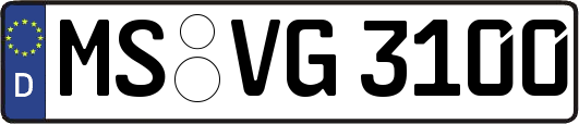 MS-VG3100