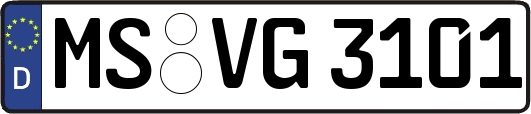 MS-VG3101