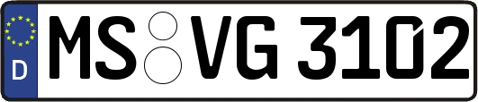 MS-VG3102
