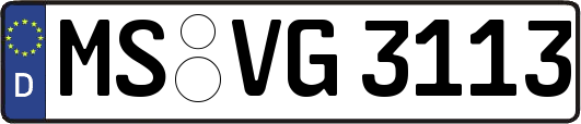 MS-VG3113