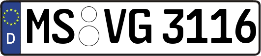 MS-VG3116