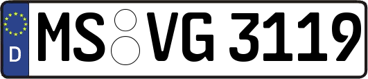 MS-VG3119