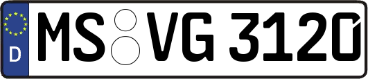 MS-VG3120