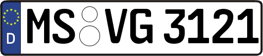MS-VG3121