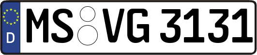 MS-VG3131