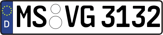MS-VG3132