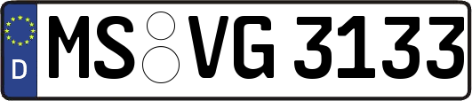 MS-VG3133