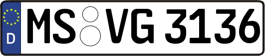 MS-VG3136