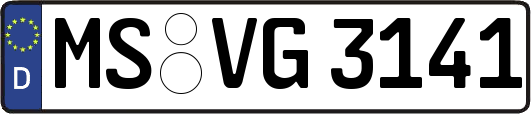MS-VG3141