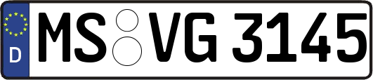 MS-VG3145