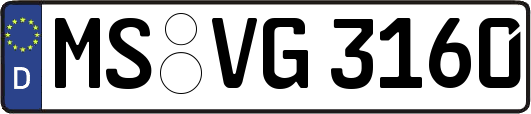 MS-VG3160