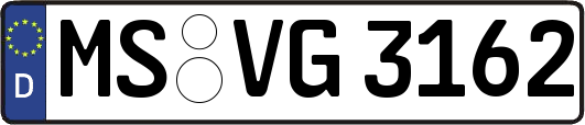 MS-VG3162