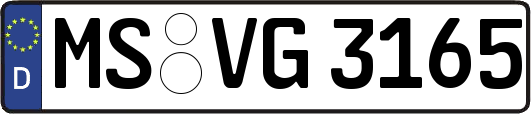 MS-VG3165