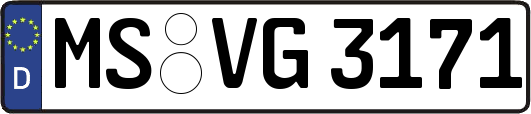 MS-VG3171
