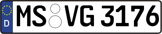 MS-VG3176