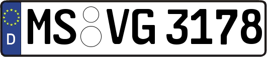 MS-VG3178