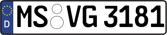 MS-VG3181