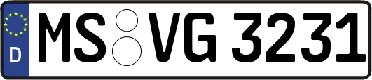 MS-VG3231