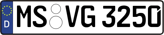 MS-VG3250