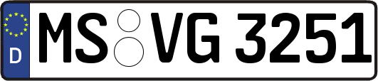 MS-VG3251