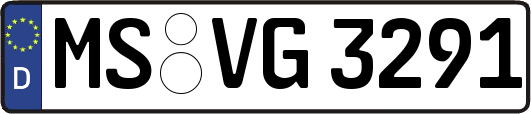MS-VG3291
