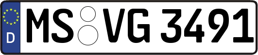 MS-VG3491